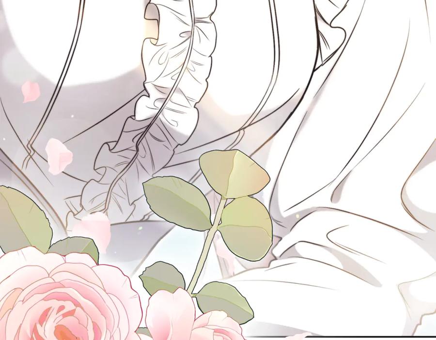 第254页