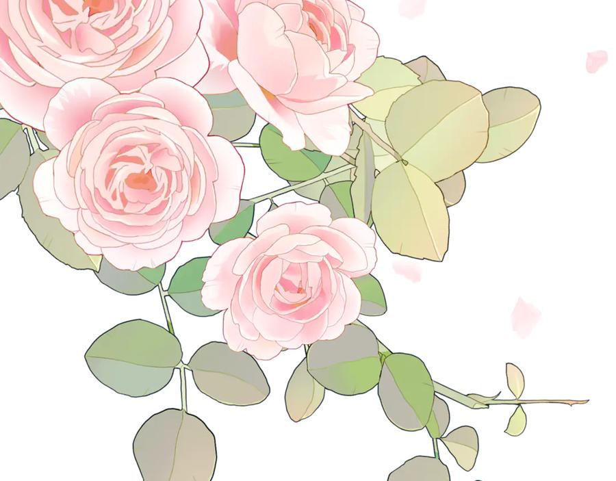 第255页