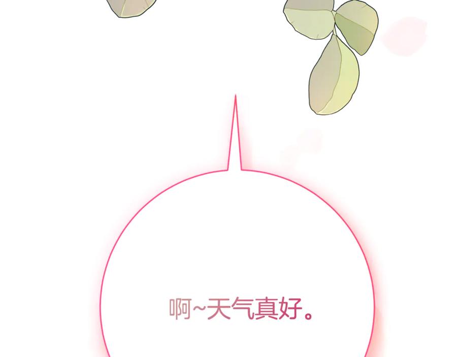 第256页