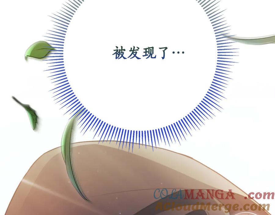 第245页
