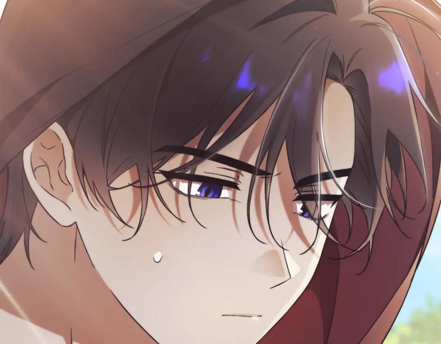 第246页
