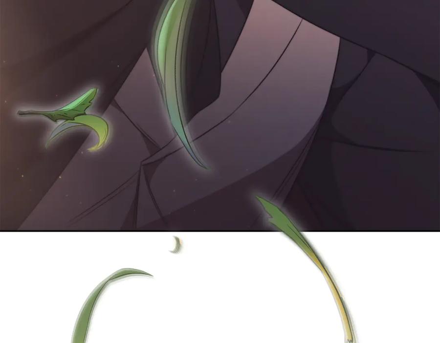 第248页