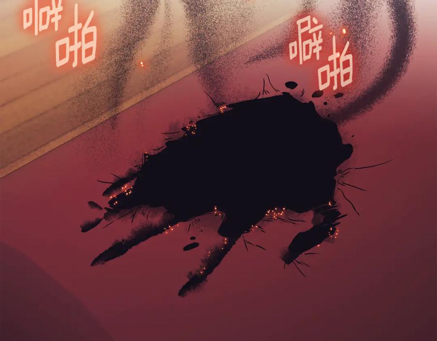 第224页