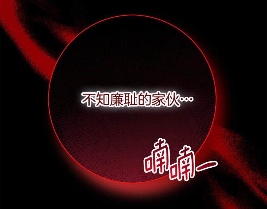 第242页