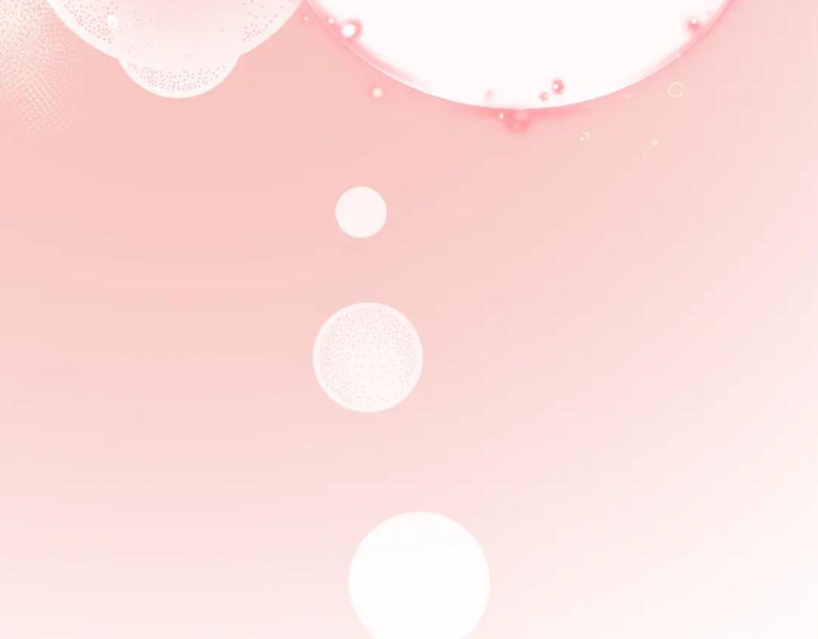 第250页