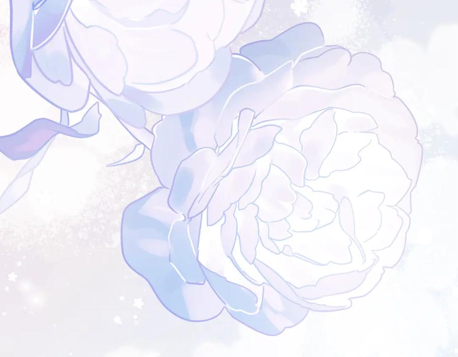 第294页