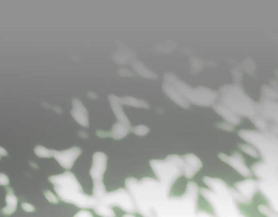 第212页