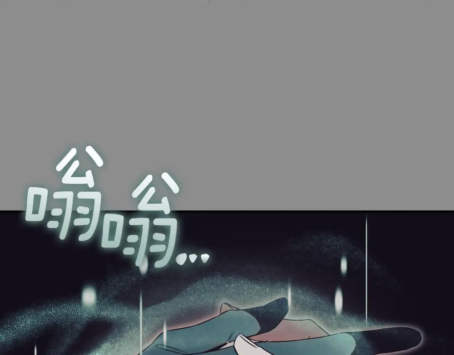 第260页