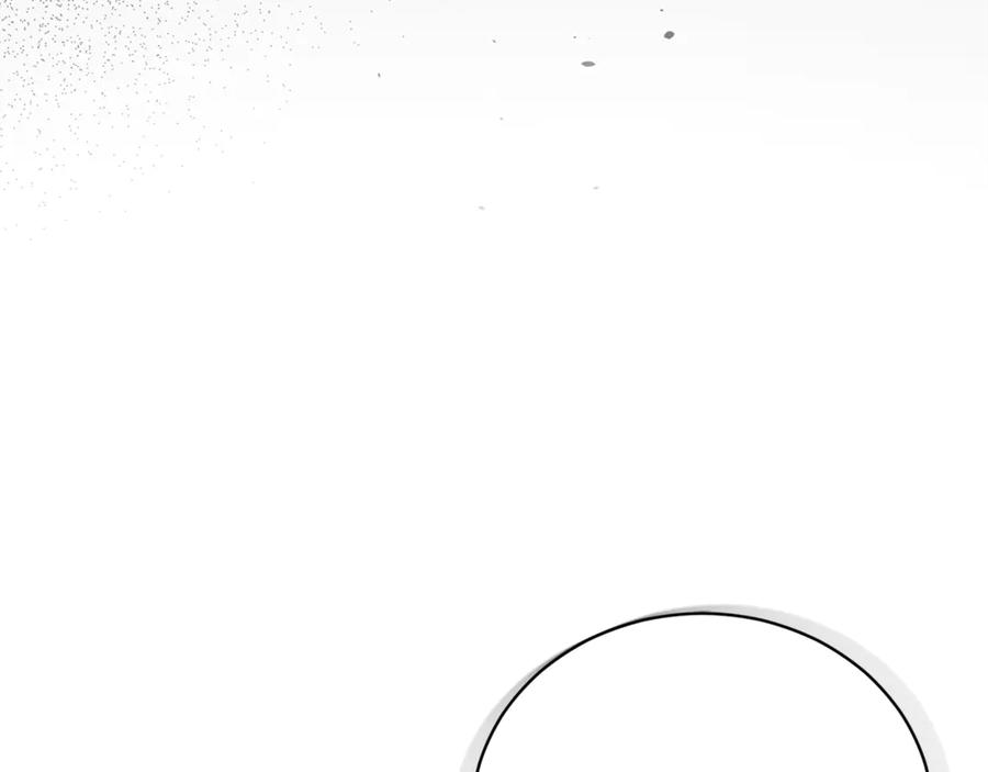 第223页