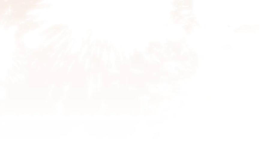 第271页