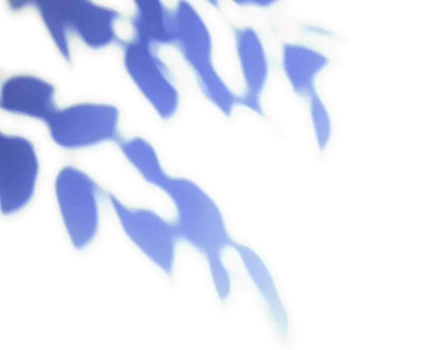 第239页