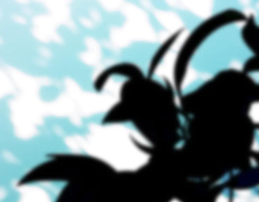 第216页