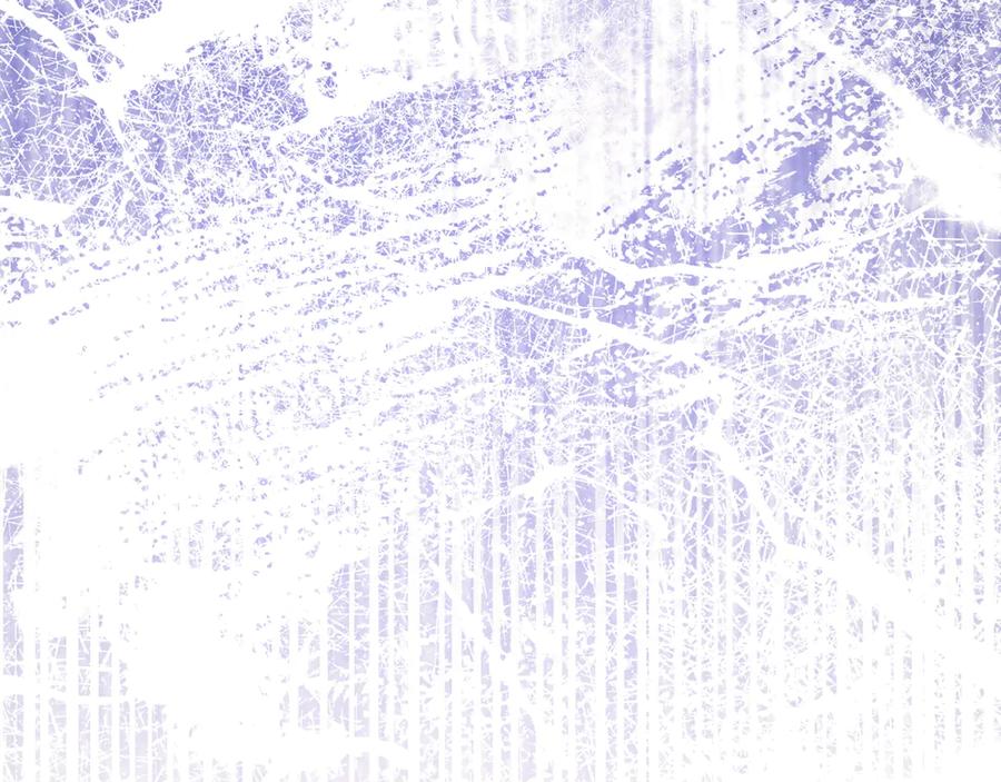第274页
