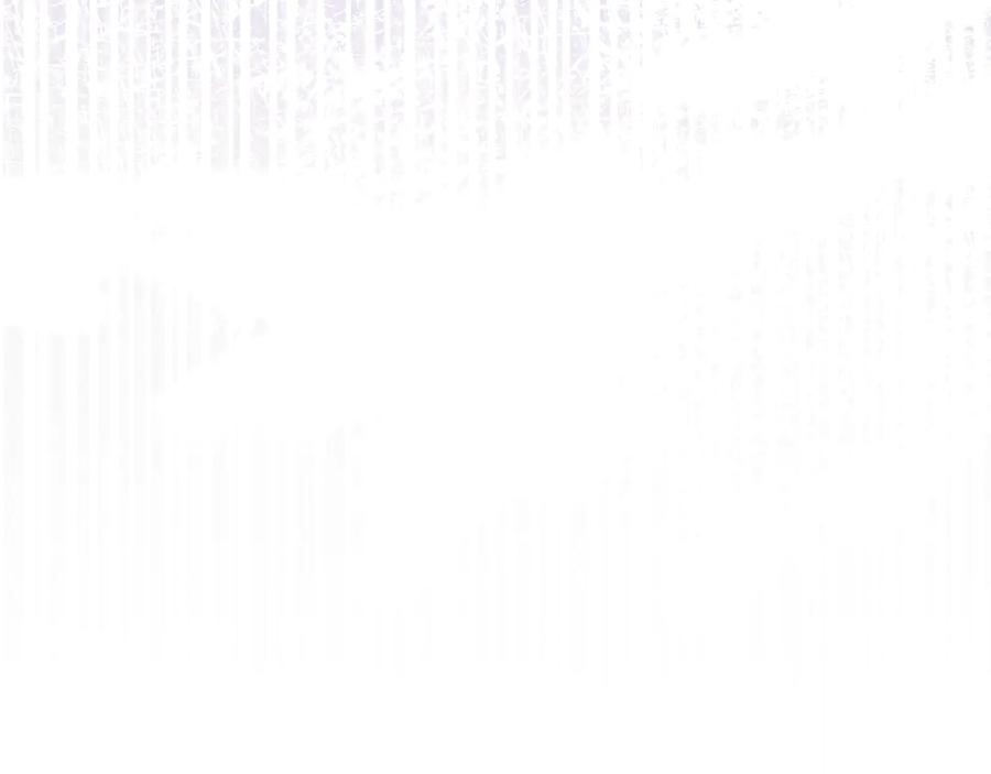 第275页