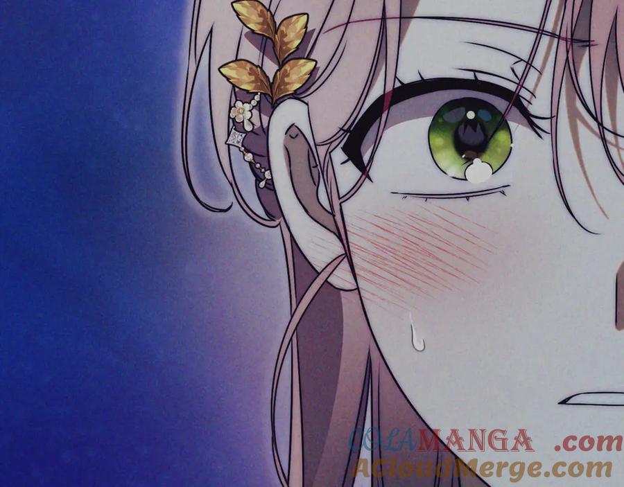 第205页