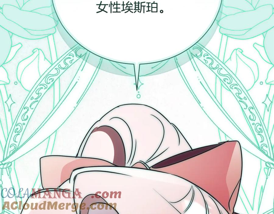 第261页