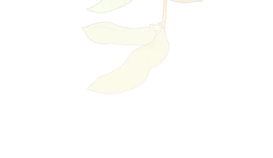 第202页
