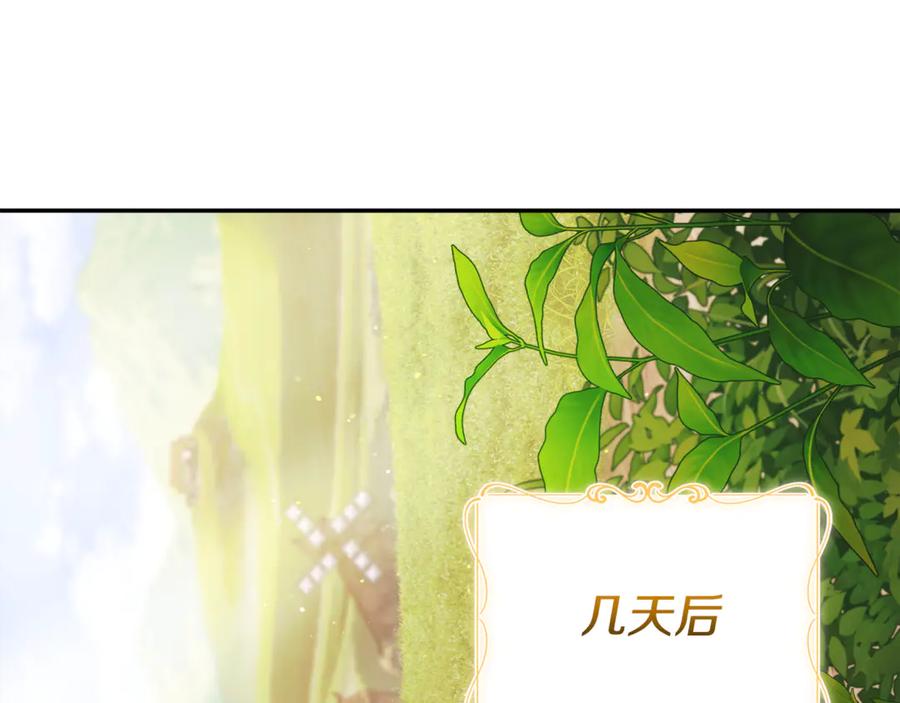第230页
