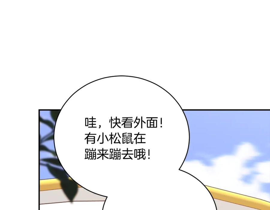 第242页