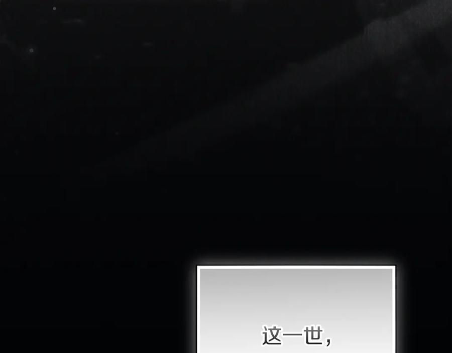 第278页