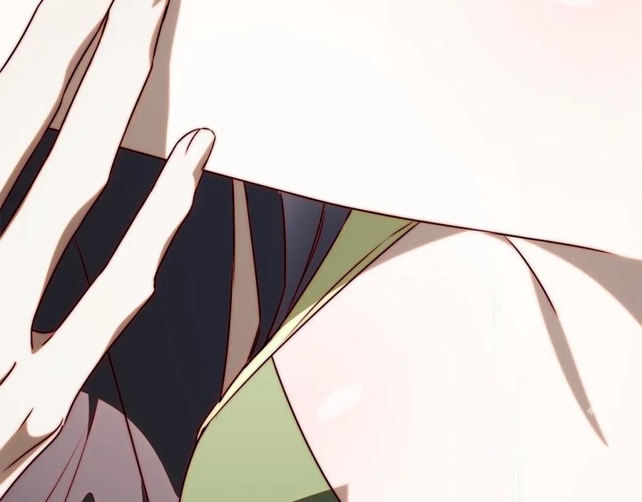 第223页