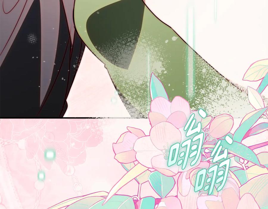 第224页