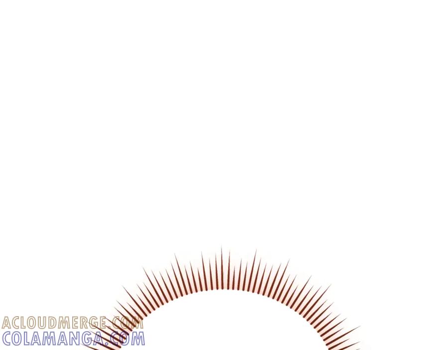 第241页