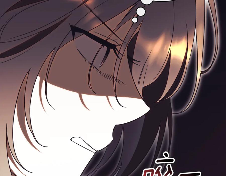 第255页