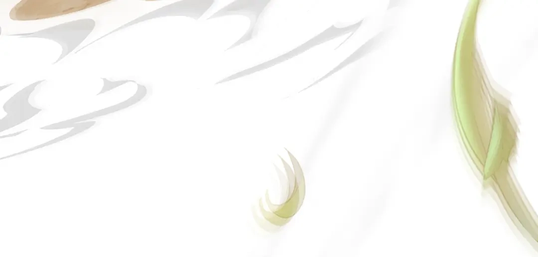 第251页