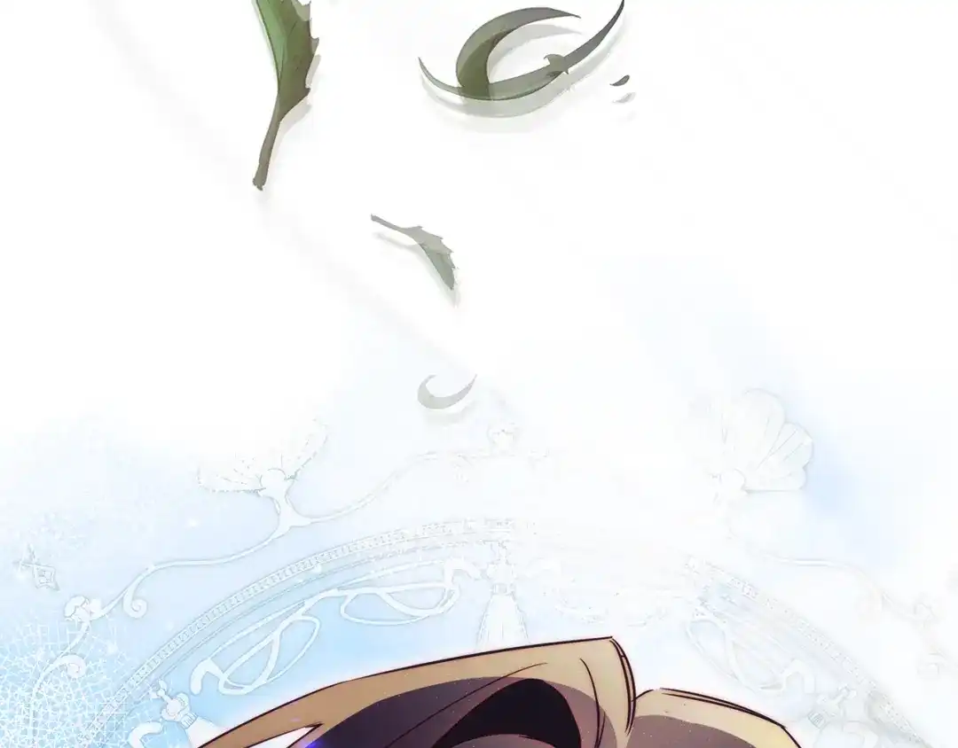第255页