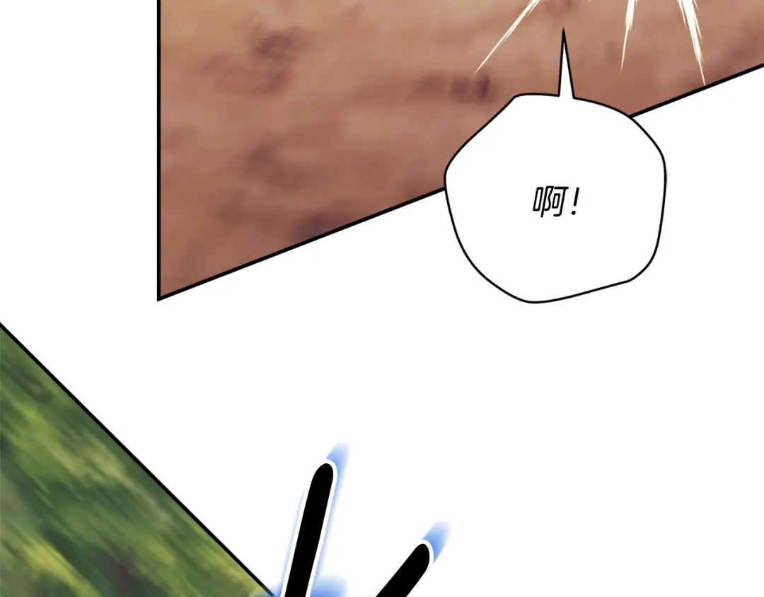 第242页