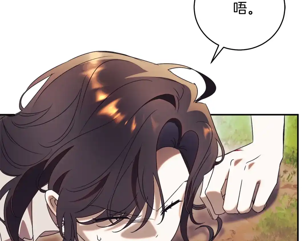 第247页