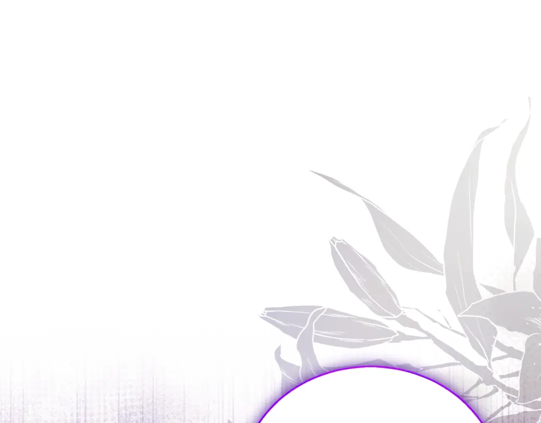 第255页