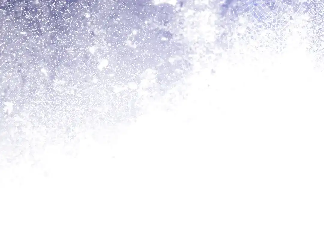 第262页
