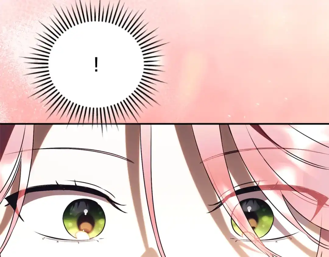 第215页