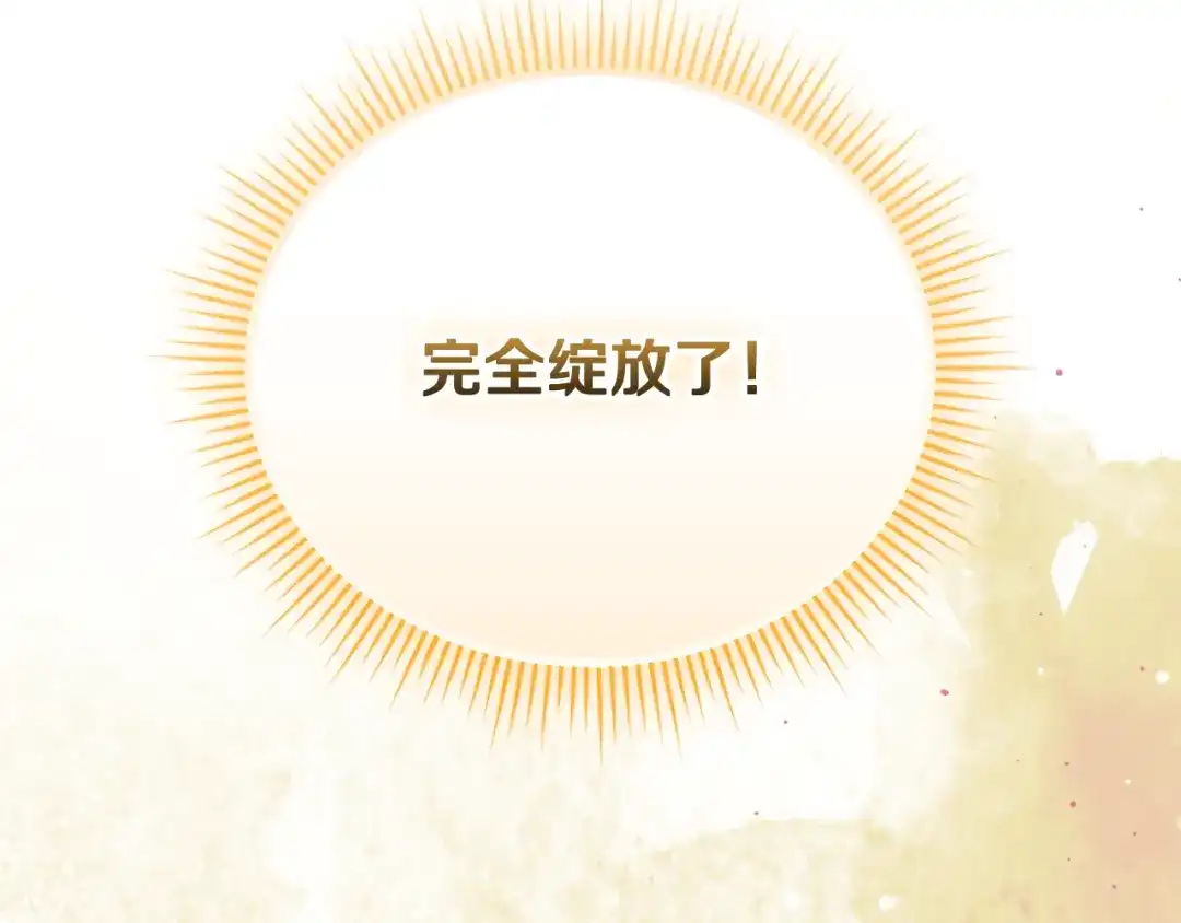 第228页