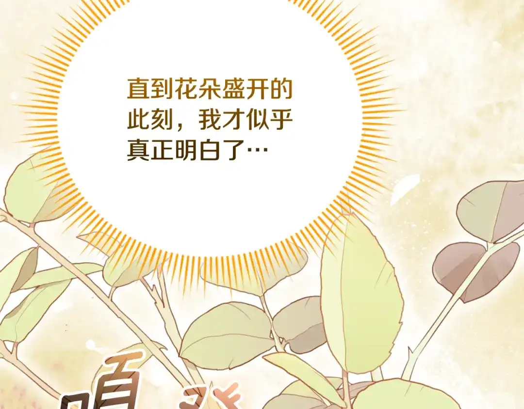 第230页