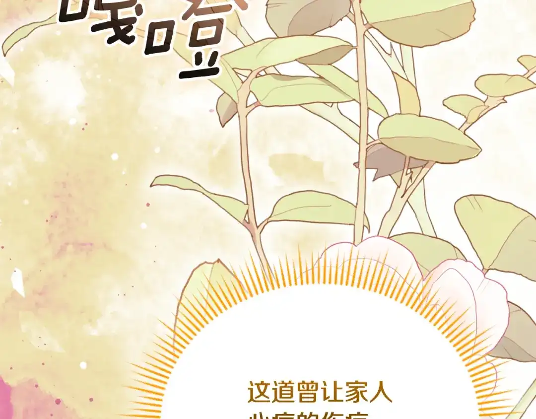 第231页