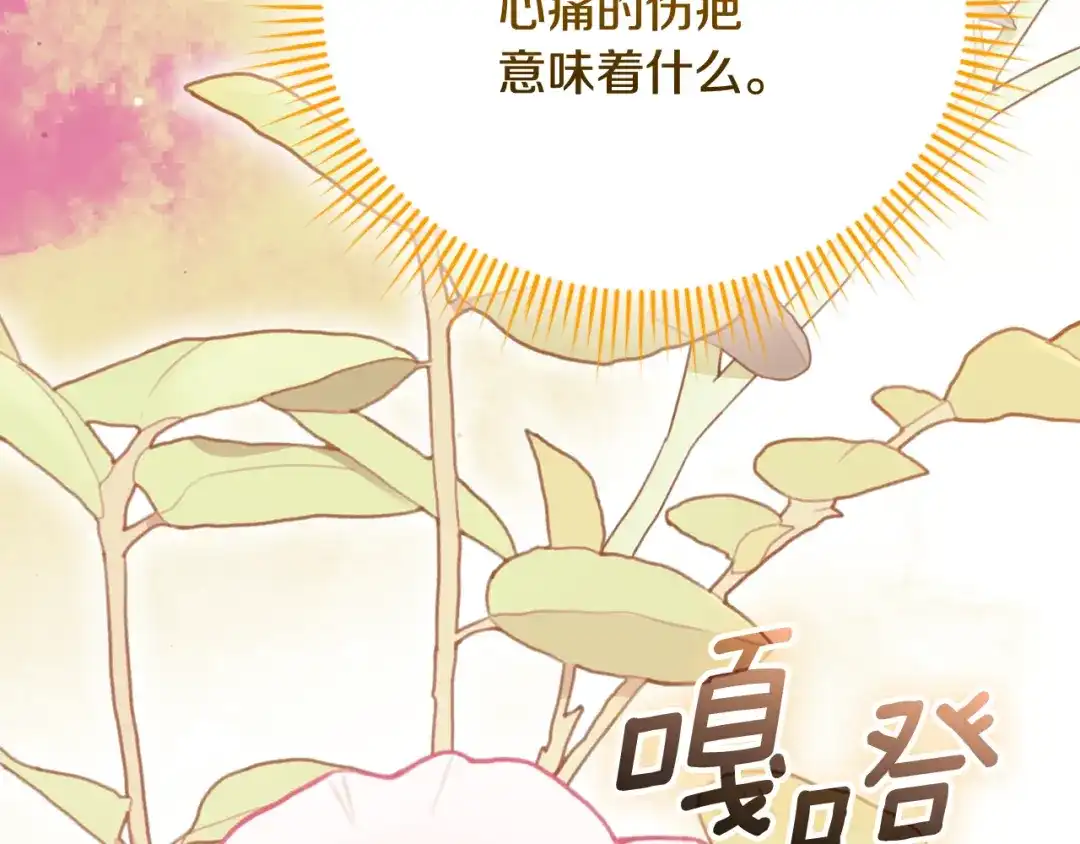 第232页