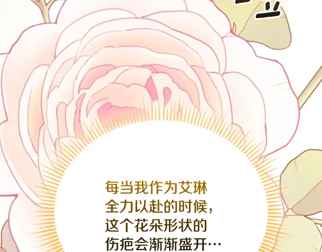 第233页