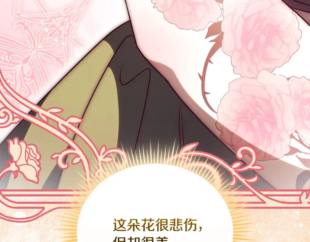 第242页