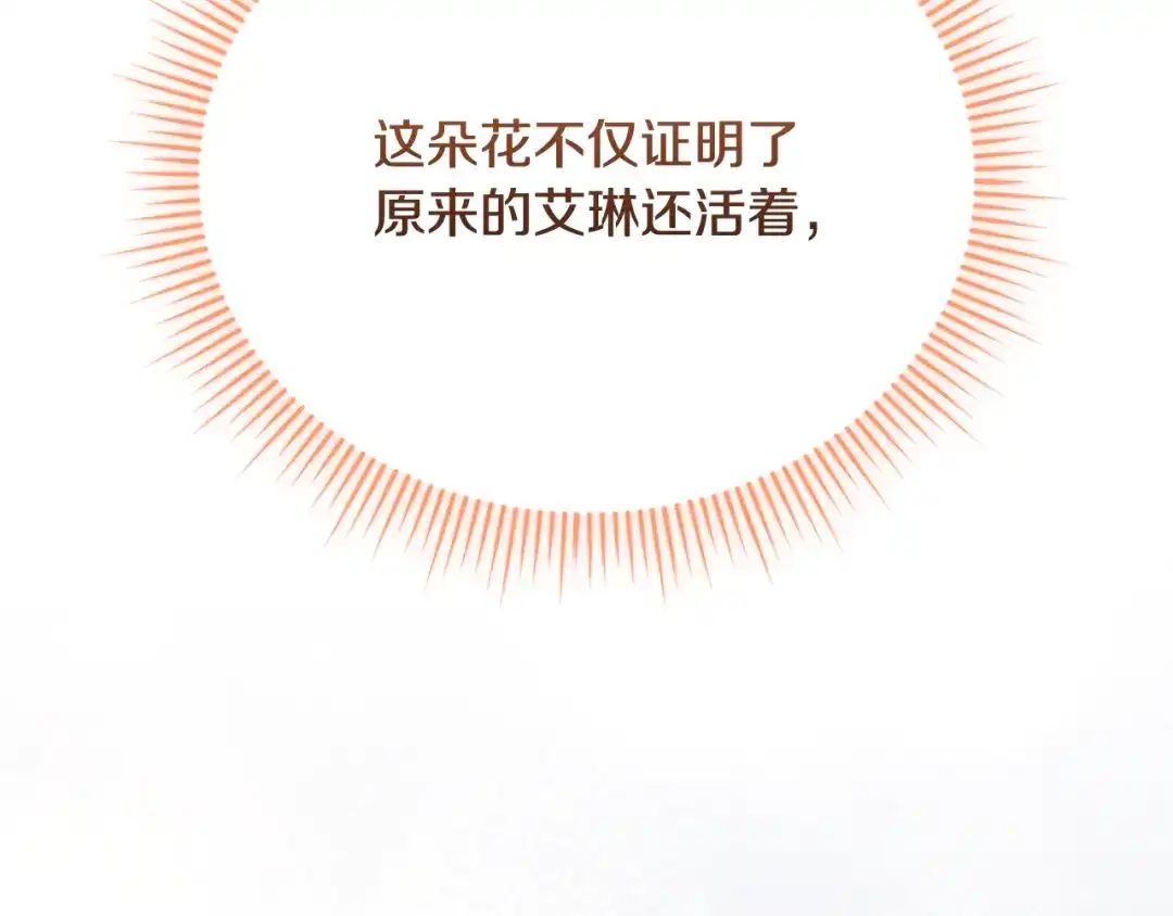 第247页