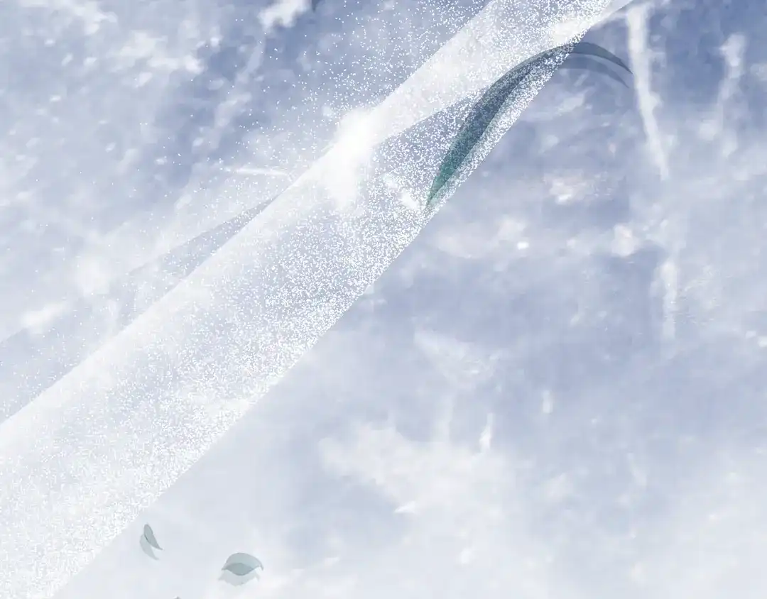 第206页