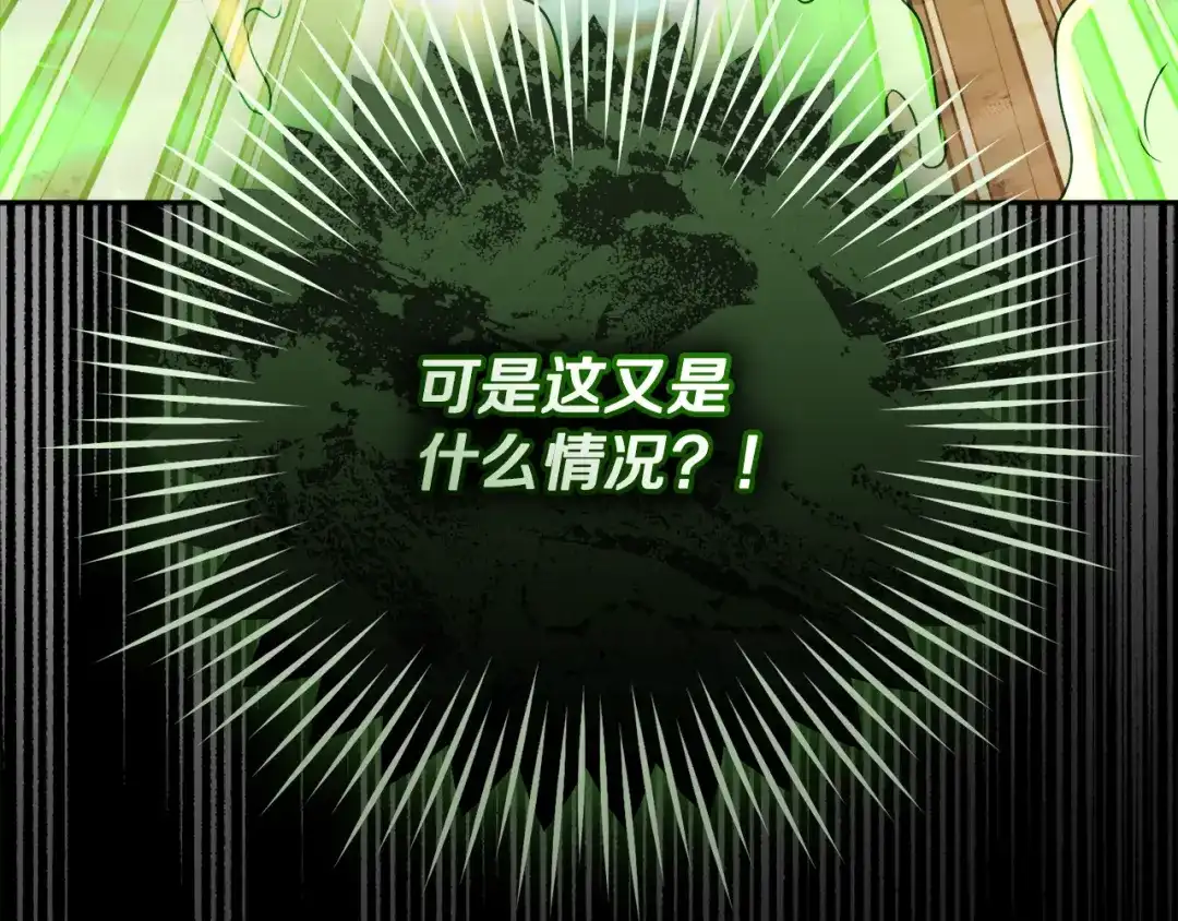 第215页