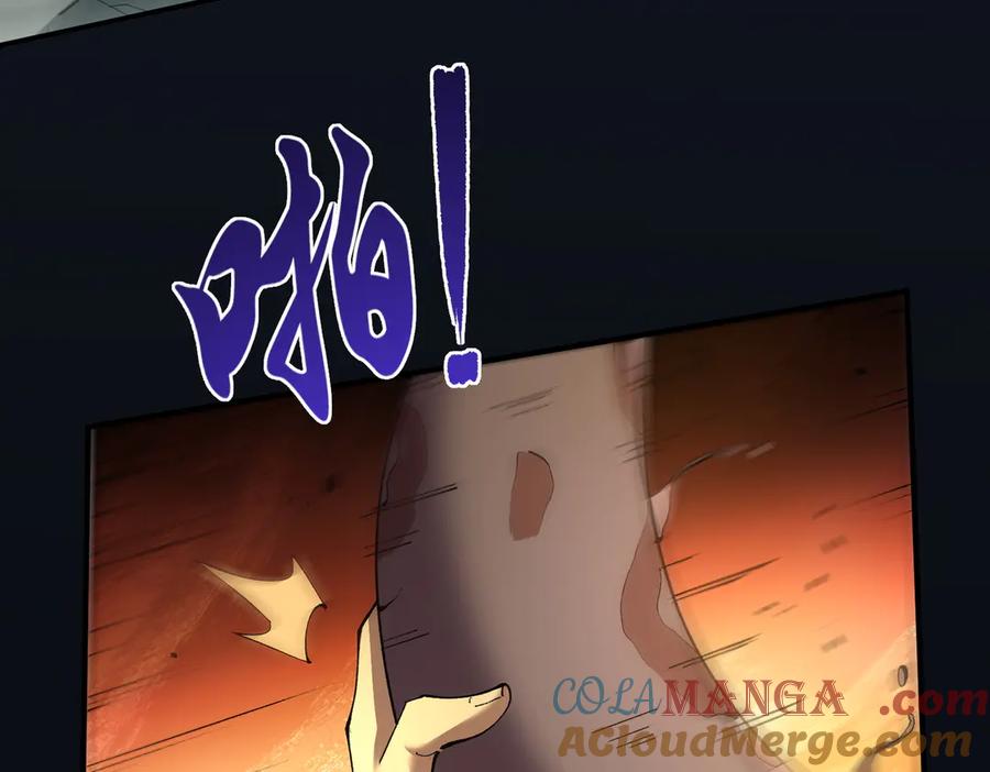 第204页