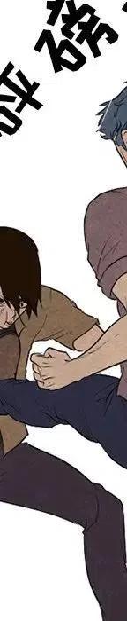 第223页