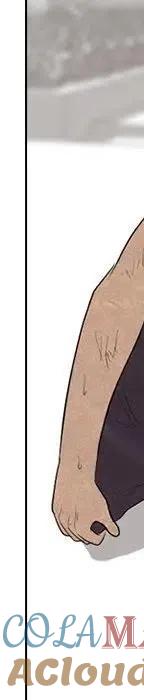 第261页