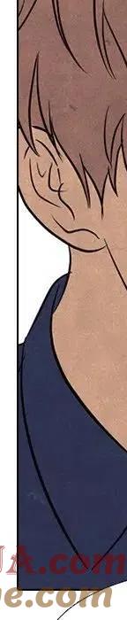 第381页