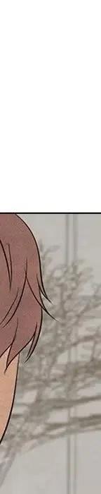 第392页