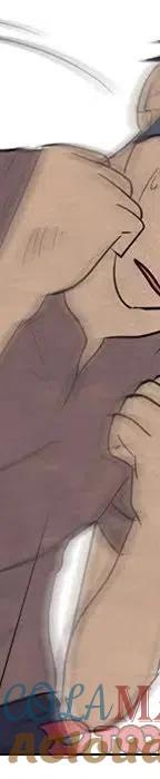 第429页